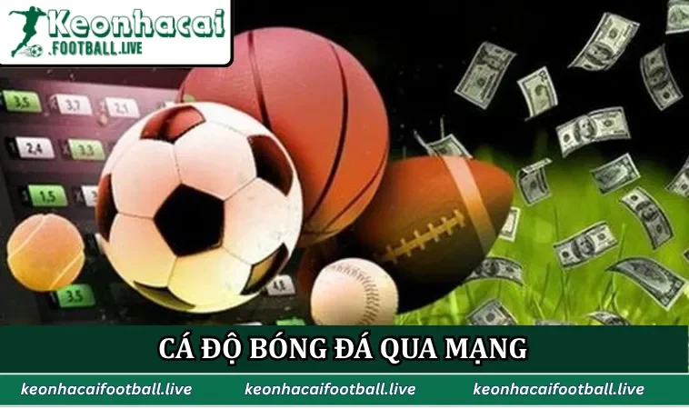 Cá độ bóng đá qua mạng