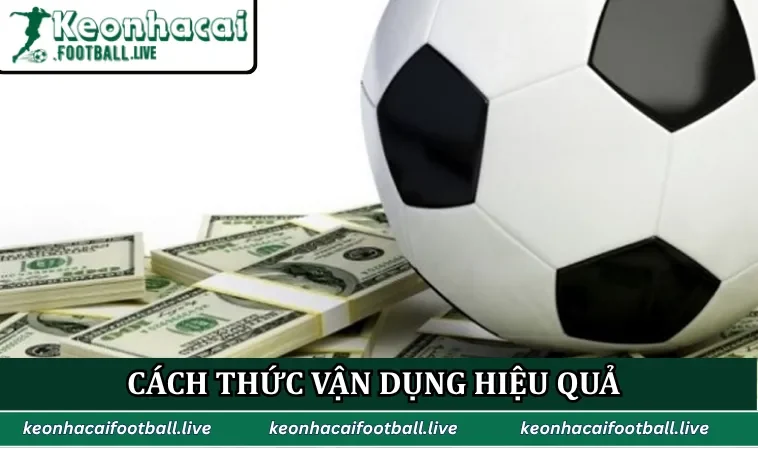 Cách thức vận dụng hiệu quả kiến thức chuyên môn