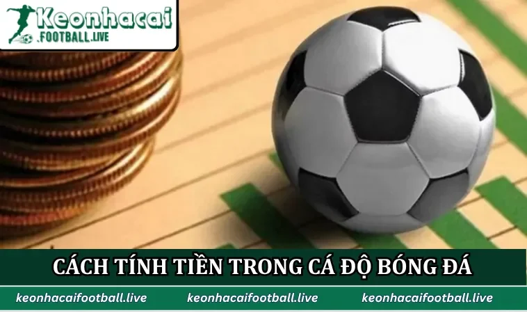 Cách tính tiền trong cá độ bóng đá