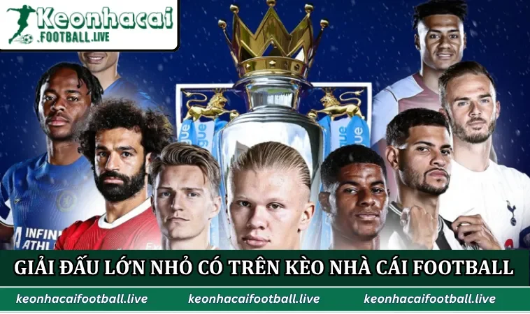 Hàng loạt giải đấu lớn nhỏ có trên Kèo Nhà Cái Football