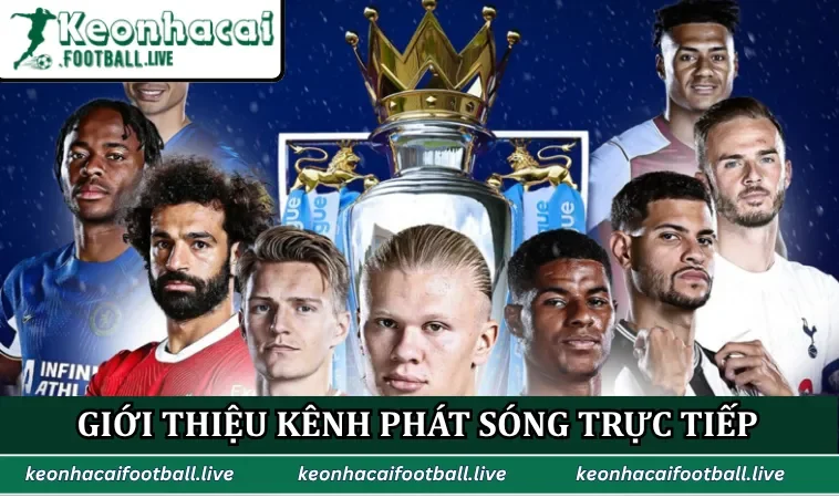 Giới thiệu kênh phát sóng trực tiếp