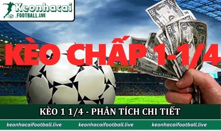 Kèo 1 1/4 - Phân Tích Chi Tiết Và Cách Đọc Chính Xác