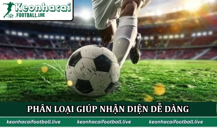 Phân loại giúp nhận diện dễ dàng