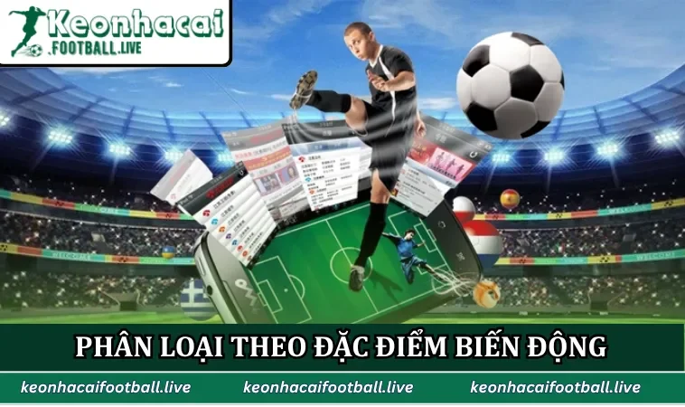 Phân loại theo đặc điểm biến động