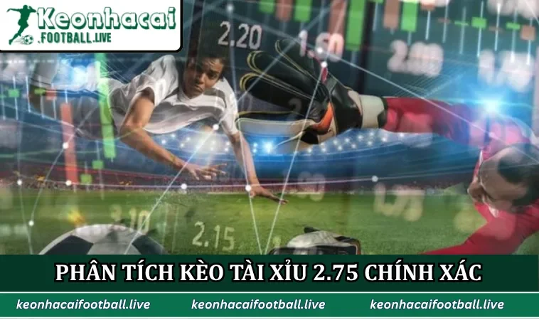 Phân tích kèo tài xỉu 2.75 chính xác
