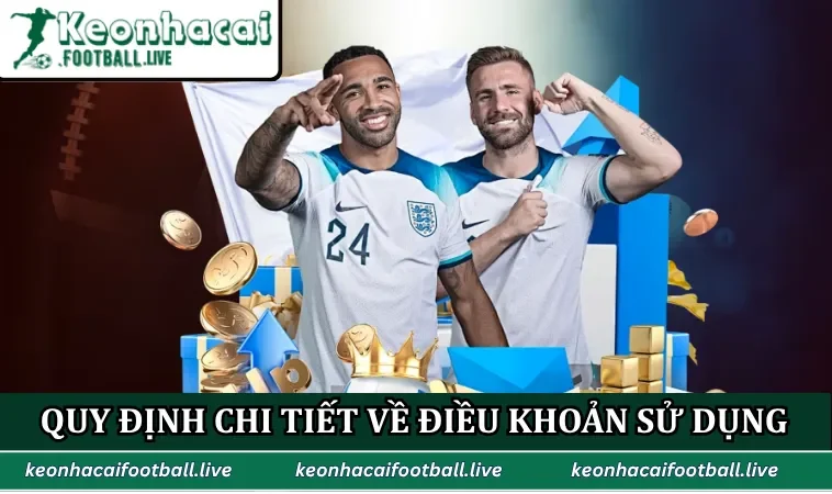 Quy định chi tiết về điều khoản sử dụng