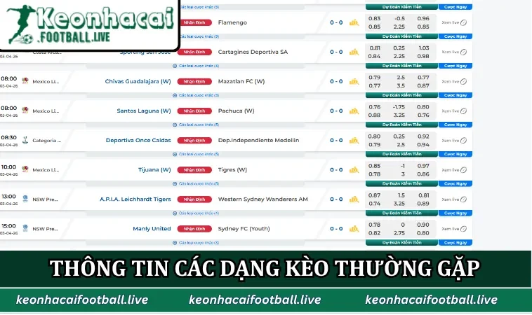 Thông tin các dạng kèo thường gặp