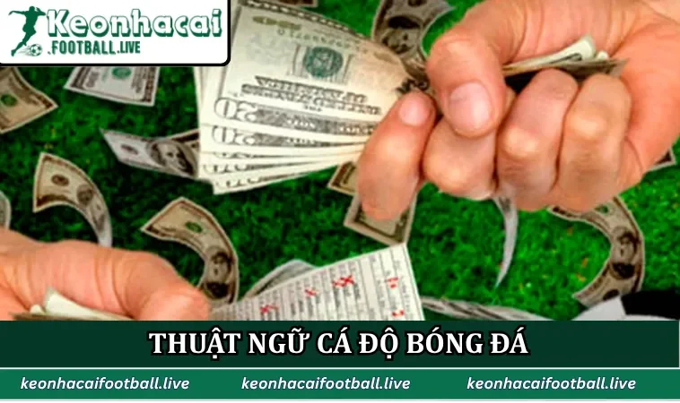 Thuật ngữ cá độ bóng đá