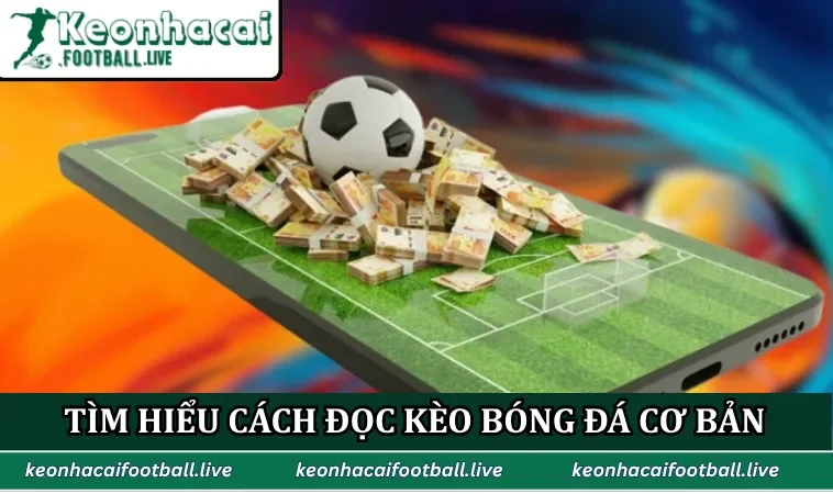 Tìm hiểu cách đọc kèo bóng đá cơ bản
