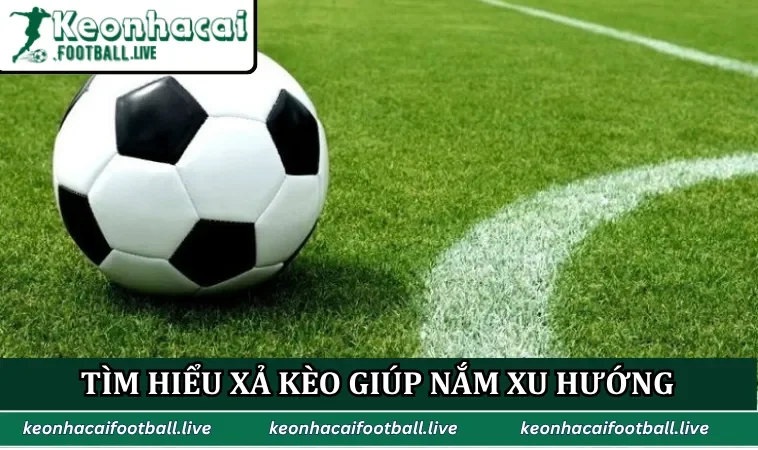 Tìm hiểu xả kèo giúp nắm xu hướng